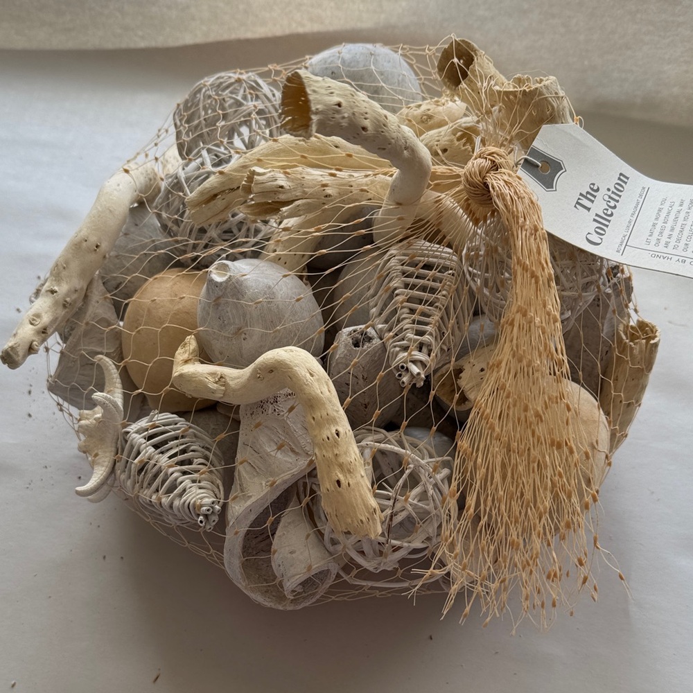 The Collection of Shells etc of SEA SHORE  Decor IN WHITE CREAM TAN NWT